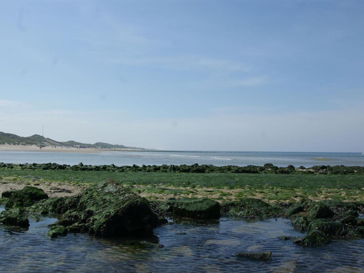 Romantic Holiday Home In Schoorl Near The Sea المظهر الخارجي الصورة